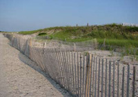 Dune Fence