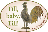 Bumper Sticker