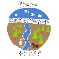 tct logo